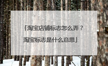 淘宝店铺标志怎么弄?淘宝标志是什么意思