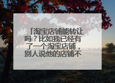 淘宝店铺能转让吗?比如我已经有了一个淘宝店铺,别人说他的店铺不要了,想转让给我。这个可以吗?