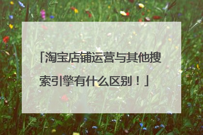 淘宝店铺运营与其他搜索引擎有什么区别!