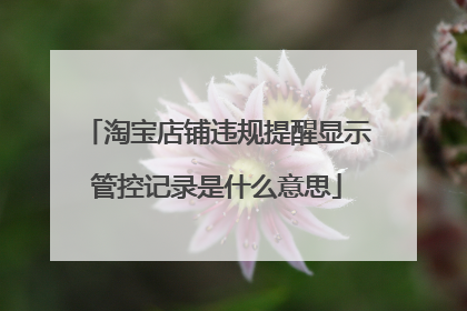 淘宝店铺违规提醒显示管控记录是什么意思