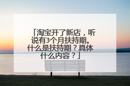 淘宝开了新店,听说有3个月扶持期。什么是扶持期?具体什么内容?