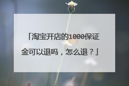 淘宝开店的1000保证金可以退吗,怎么退?