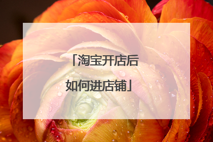 淘宝开店后如何进店铺