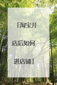 淘宝开店后如何进店铺