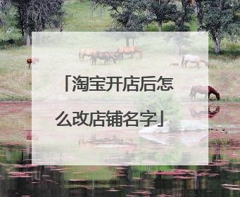 淘宝开店后怎么改店铺名字