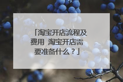 淘宝开店流程及费用 淘宝开店需要准备什么？