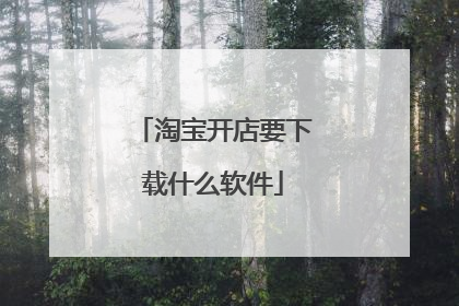淘宝开店要下载什么软件
