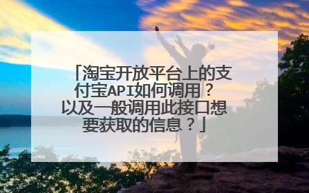 淘宝开放平台上的支付宝API如何调用?以及一般调用此接口想要获取的信息?
