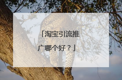 淘宝引流推广哪个好？