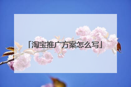淘宝推广方案怎么写