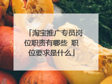 淘宝推广专员岗位职责有哪些 职位要求是什么