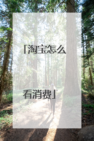 淘宝怎么看消费