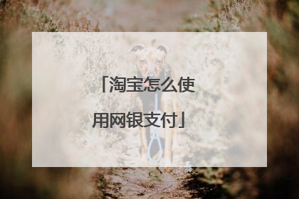 淘宝怎么使用网银支付