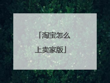 淘宝怎么上卖家版