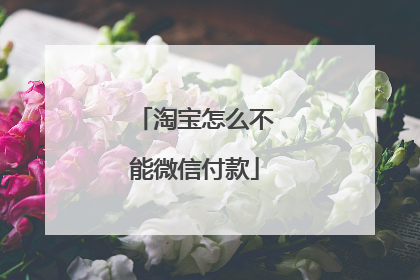 淘宝怎么不能微信付款