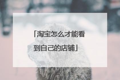 淘宝怎么才能看到自己的店铺