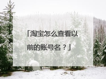 淘宝怎么查看以前的账号名?