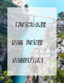 淘宝怎么搜店铺 淘宝搜店铺的方法