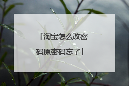 淘宝怎么改密码原密码忘了