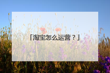 淘宝怎么运营?