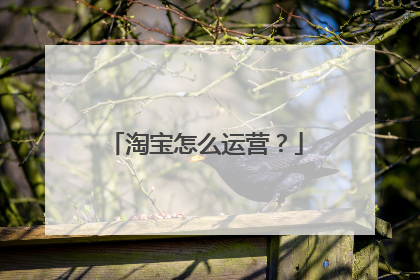 淘宝怎么运营？