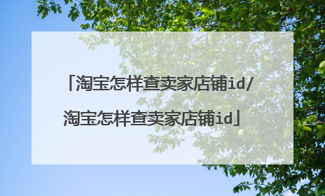 淘宝怎样查卖家店铺id/淘宝怎样查卖家店铺id