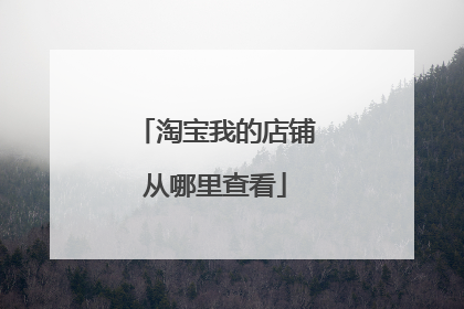 淘宝我的店铺从哪里查看