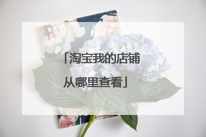 淘宝我的店铺从哪里查看