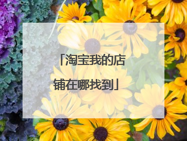 淘宝我的店铺在哪找到