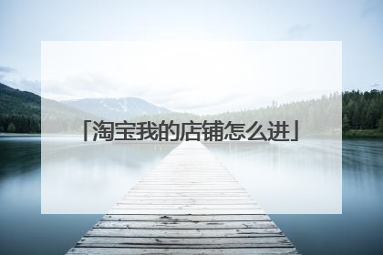 淘宝我的店铺怎么进