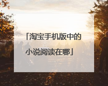 淘宝手机版中的小说阅读在哪