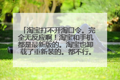 淘宝打不开淘口令。完全无反应啊!淘宝和手机都是最新版的。淘宝也卸载了重新装的。都不行。大家还有什么