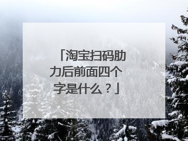 淘宝扫码肋力后前面四个字是什么?
