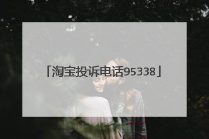 淘宝投诉电话95338