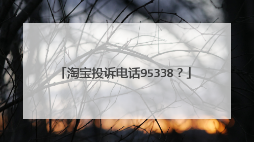 淘宝投诉电话95338?
