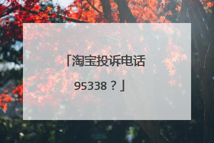 淘宝投诉电话95338？