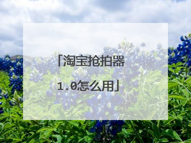 淘宝抢拍器 1.0怎么用