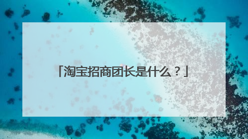 淘宝招商团长是什么?