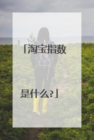 淘宝指数是什么?