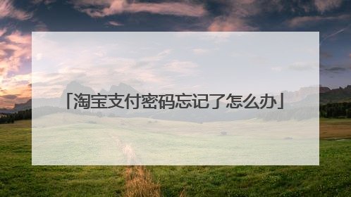 淘宝支付密码忘记了怎么办