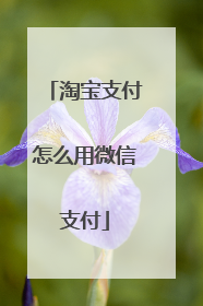 淘宝支付怎么用微信支付