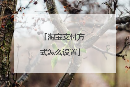 淘宝支付方式怎么设置