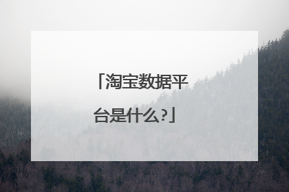 淘宝数据平台是什么?