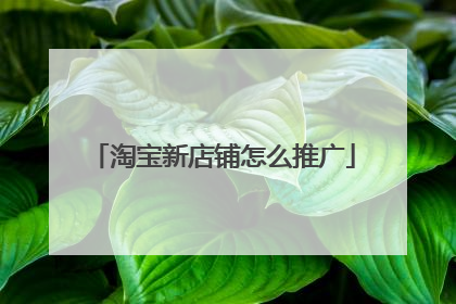 淘宝新店铺怎么推广