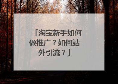 淘宝新手如何做推广?如何站外引流?