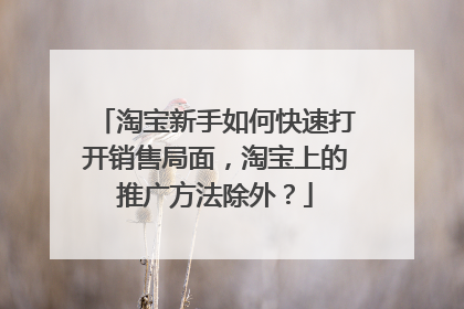 淘宝新手如何快速打开销售局面，淘宝上的推广方法除外？