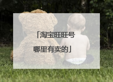 淘宝旺旺号哪里有卖的