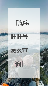 淘宝旺旺号怎么查询