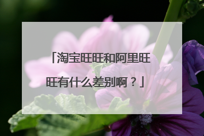淘宝旺旺和阿里旺旺有什么差别啊?