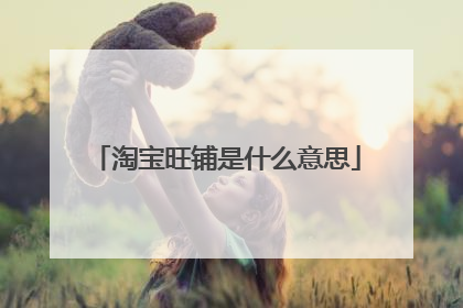 淘宝旺铺是什么意思